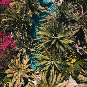 Flamingo & - Pet Friendly Oludeniz