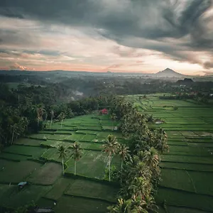 https://ayu-duwur-beji.ubudhotelsnow.com